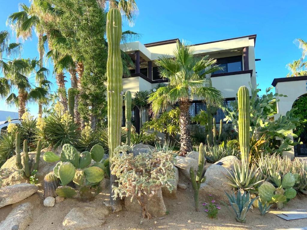 Spectacular Vacation Home Ocean View Walk To Beach Cabo San Lucas Kültér fotó